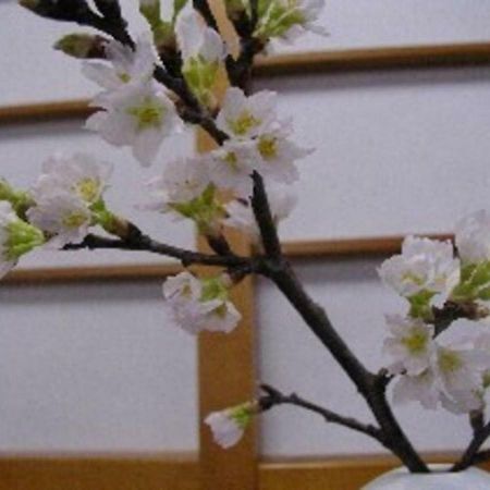Wakaba Ryokan / Vacation Stay 29362 酒田市 外观 照片